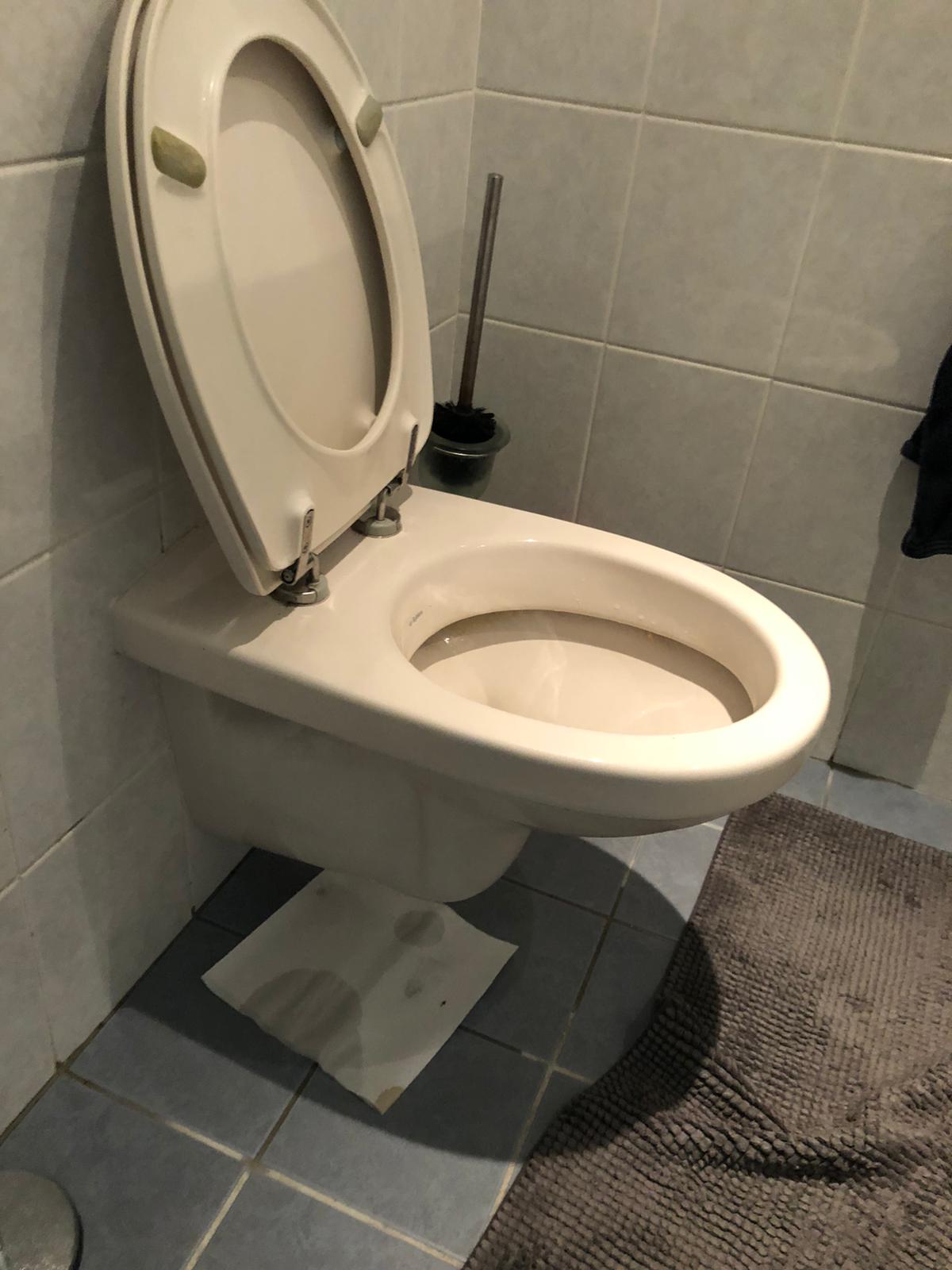 hangtoilet Gouda